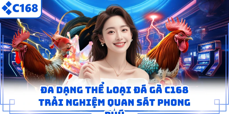 Đa dạng thể loại đá gà C168 trải nghiệm quan sát phong phú 